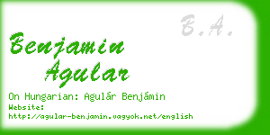benjamin agular business card